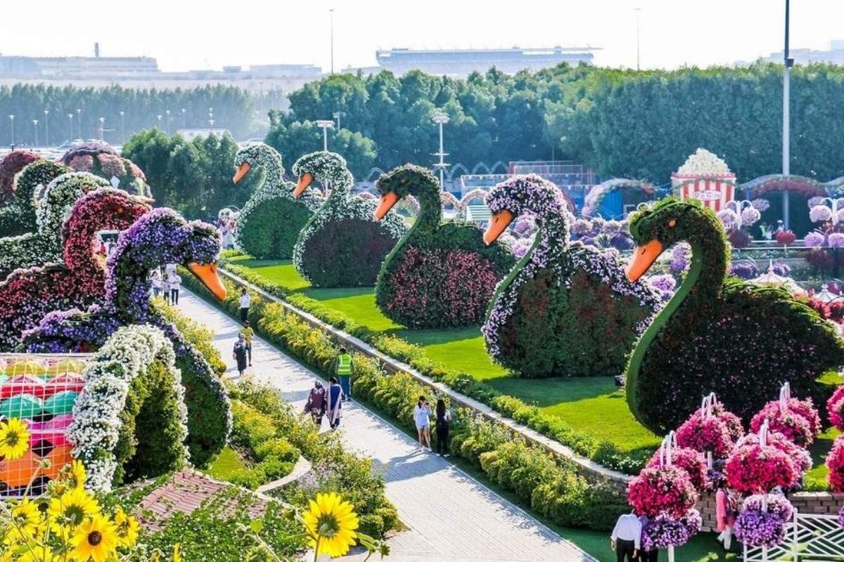 Miracle Garden
