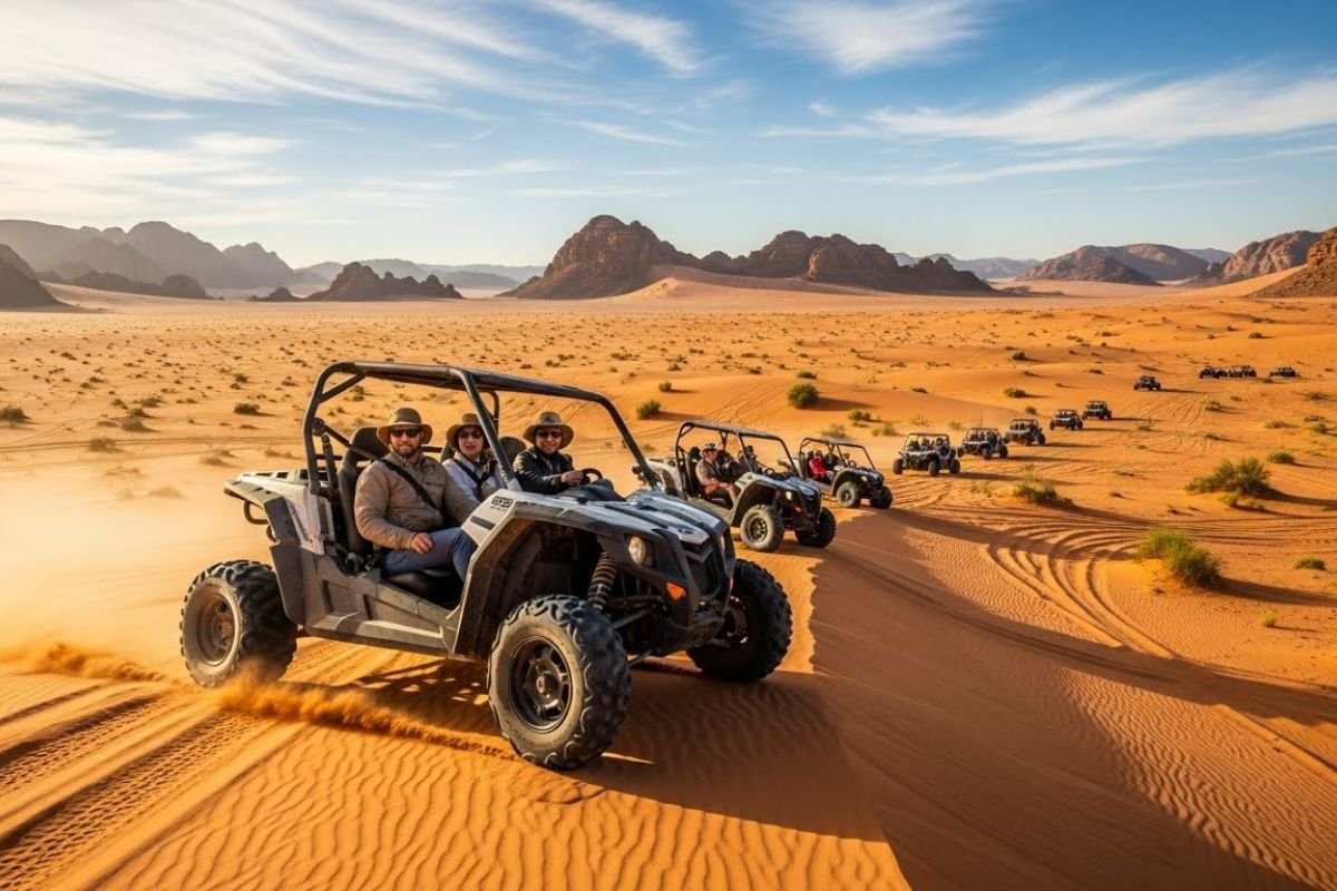 Morning Buggy Safari