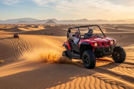 Morning Buggy Safari